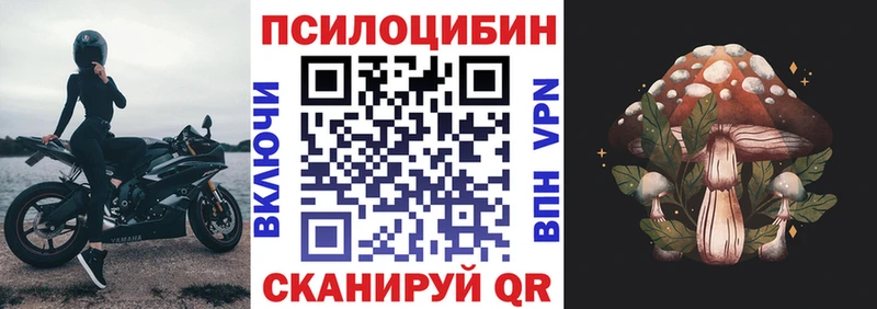 Галлюциногенные грибы Psilocybine cubensis  Купить где  Козельск 